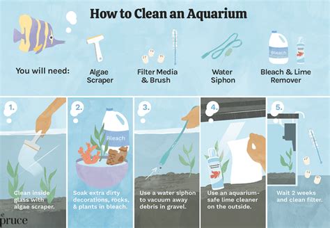 how to clean a fish|The complete guide to cleaning a fish for beginners.